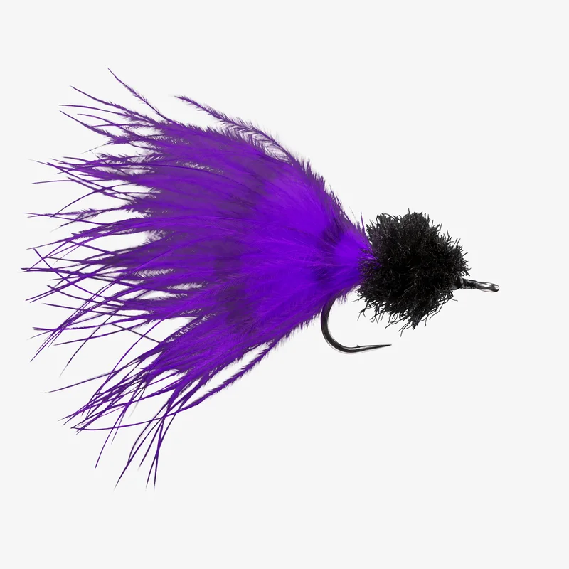 tailwatershop1147612