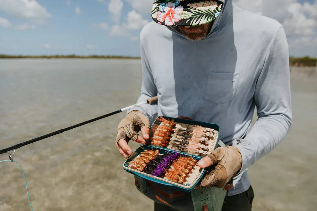 tailwatershop1147829