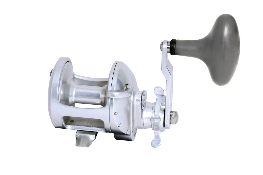 tailwatershop1147906