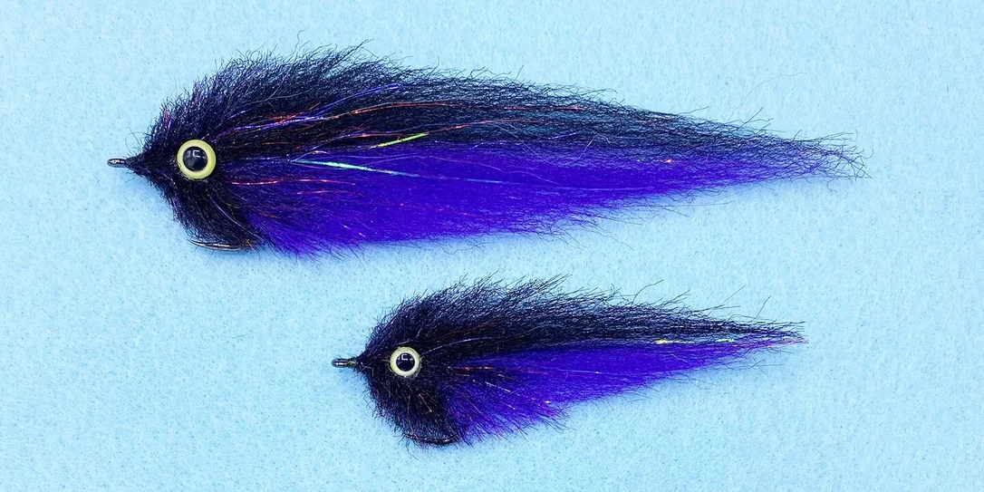tailwatershop1148126