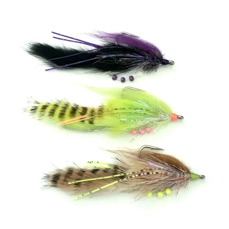 tailwatershop1148520