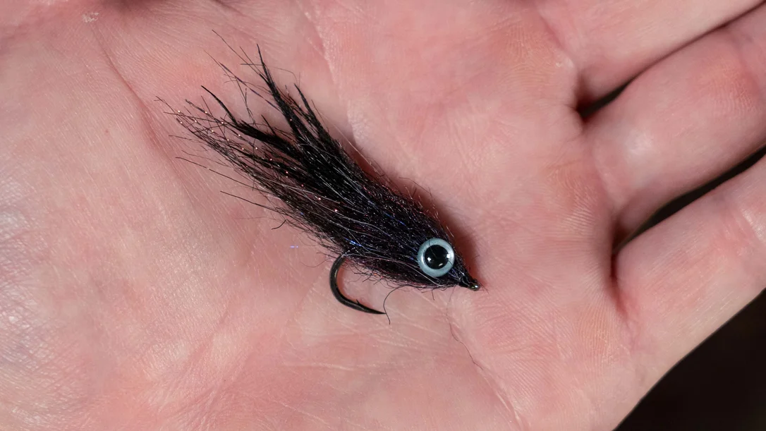 tailwatershop1148949