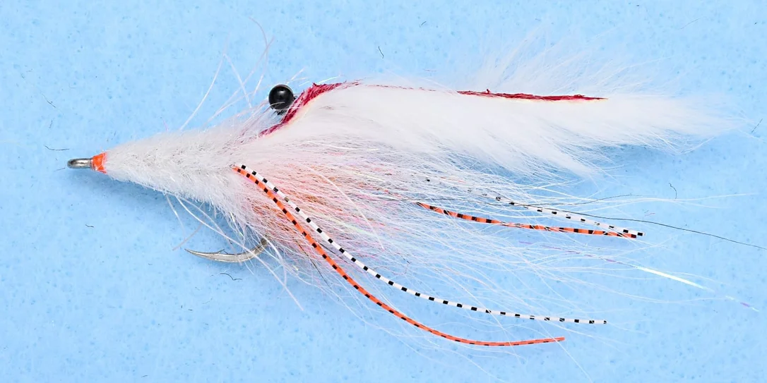 tailwatershop1149655