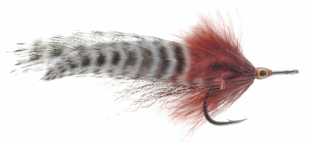 tailwatershop1150639