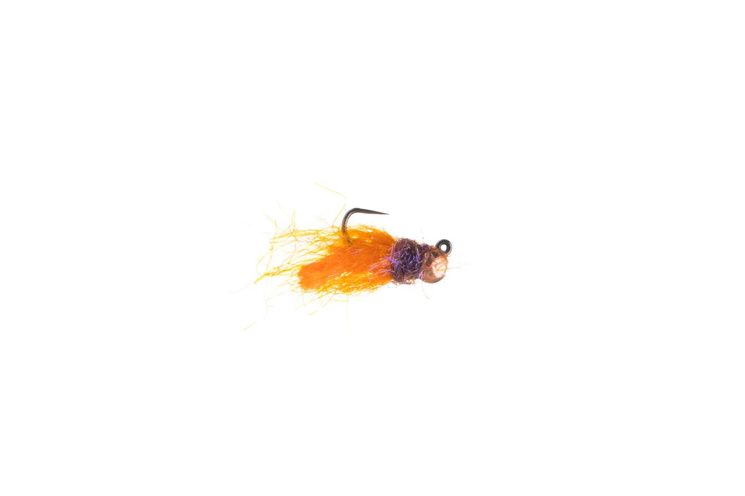 tailwatershop1150785