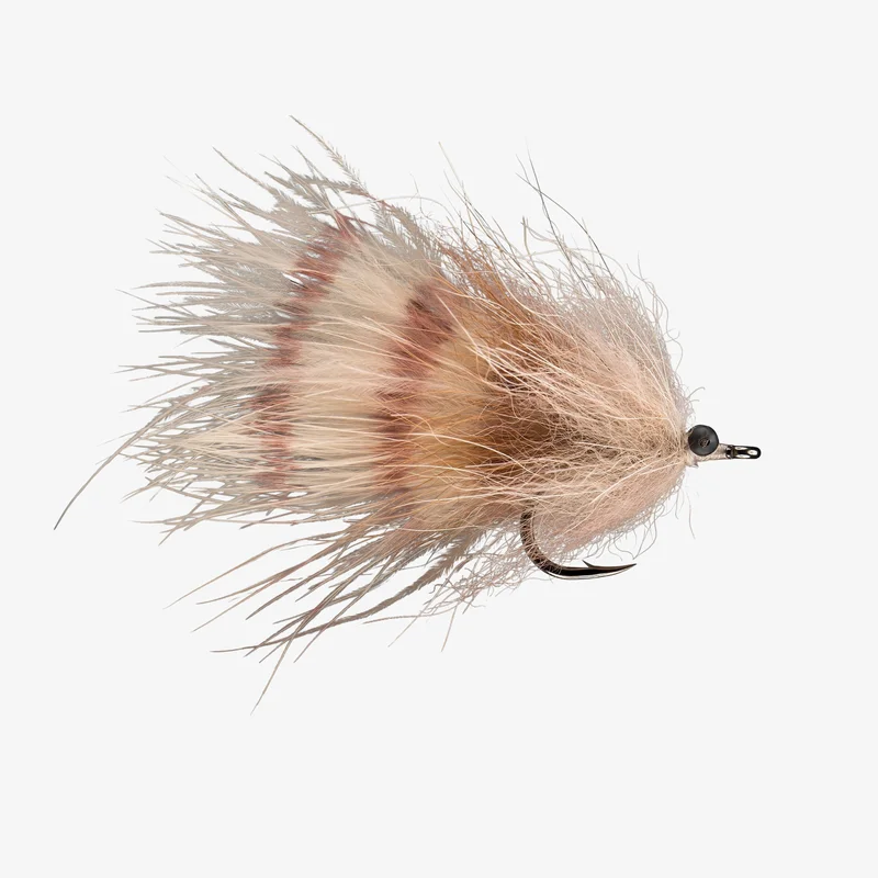 tailwatershop1151546