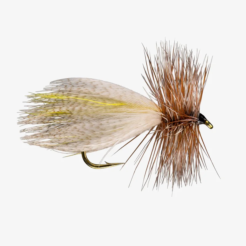 tailwatershop1153118