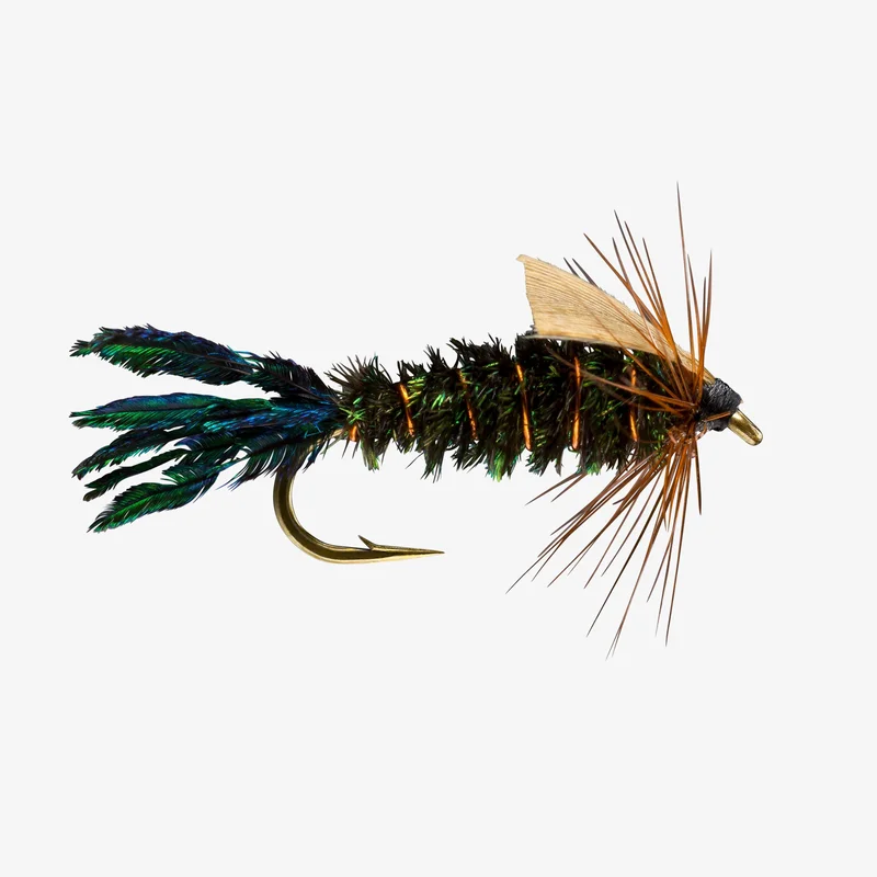 tailwatershop1153147
