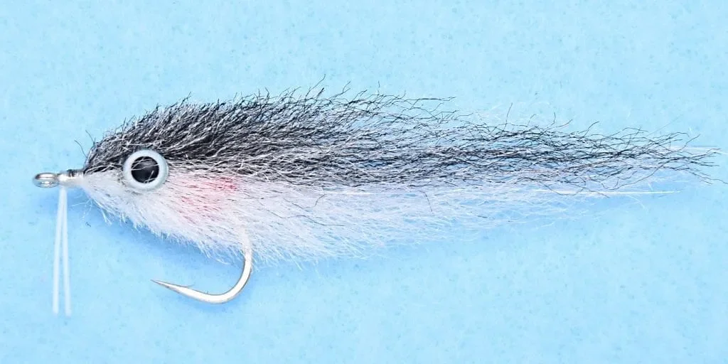 tailwatershop1153215