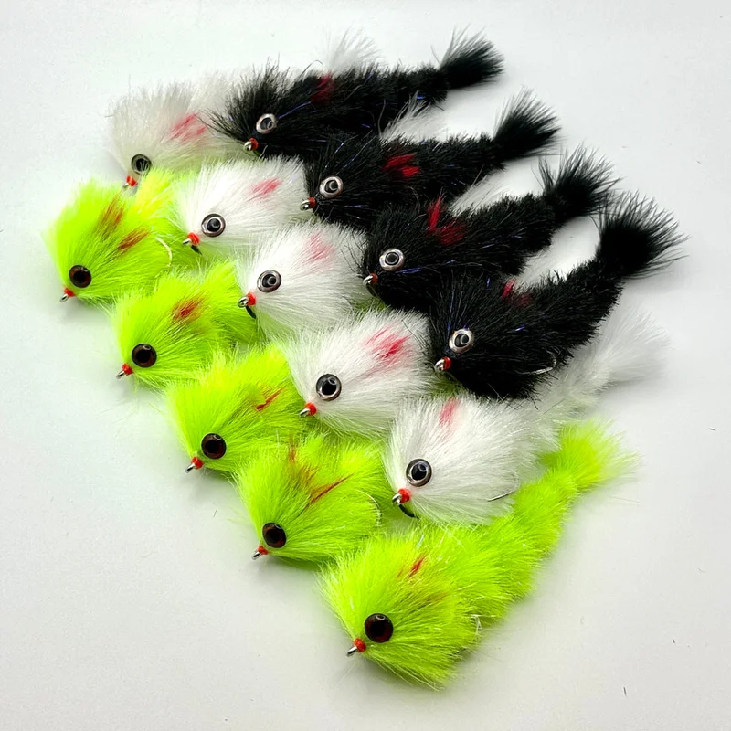 tailwatershop1153258