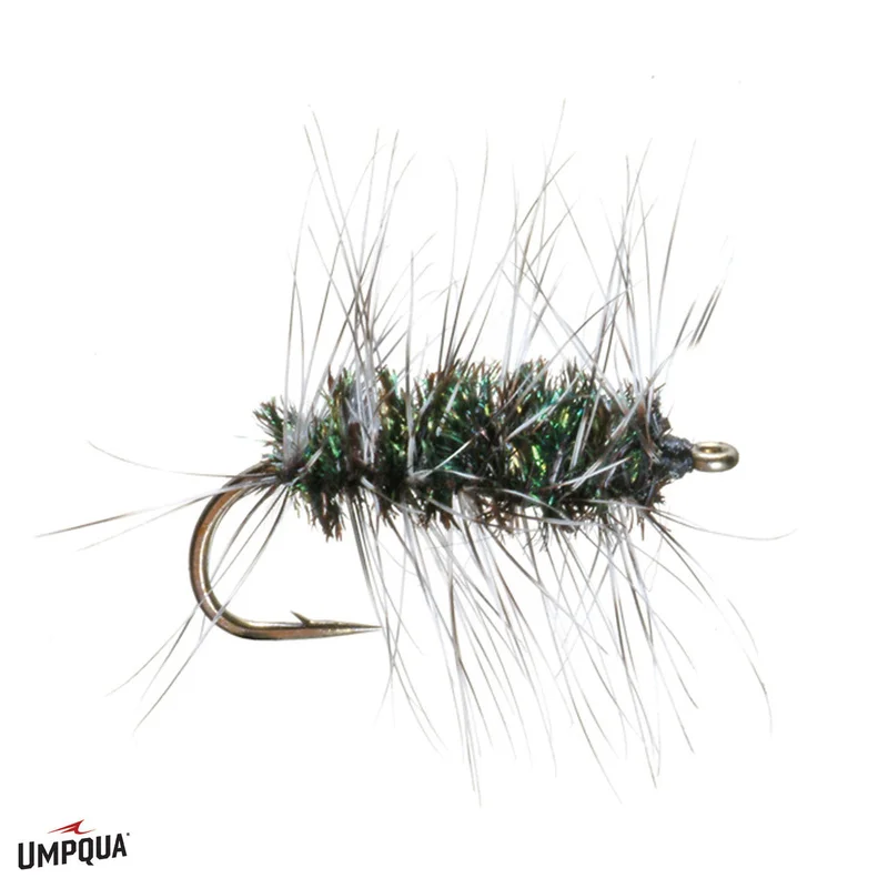 tailwatershop1153334