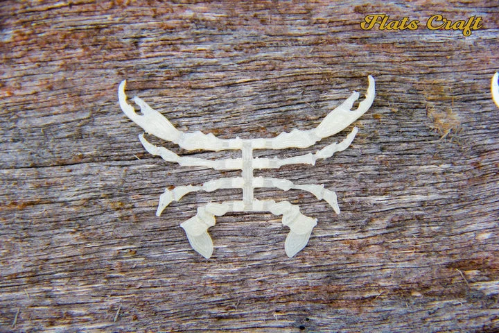 tailwatershop1153627