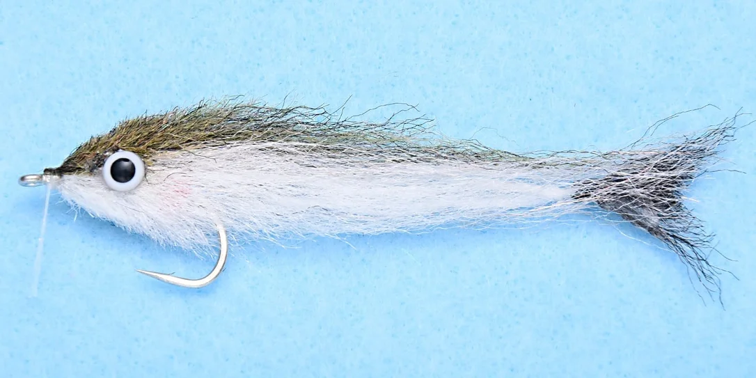 tailwatershop1155165
