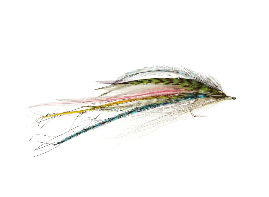 tailwatershop1155484