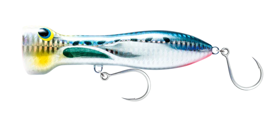 tailwatershop1155542