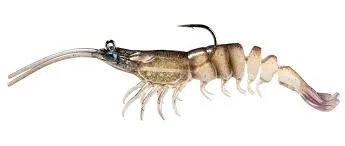 tailwatershop1156218