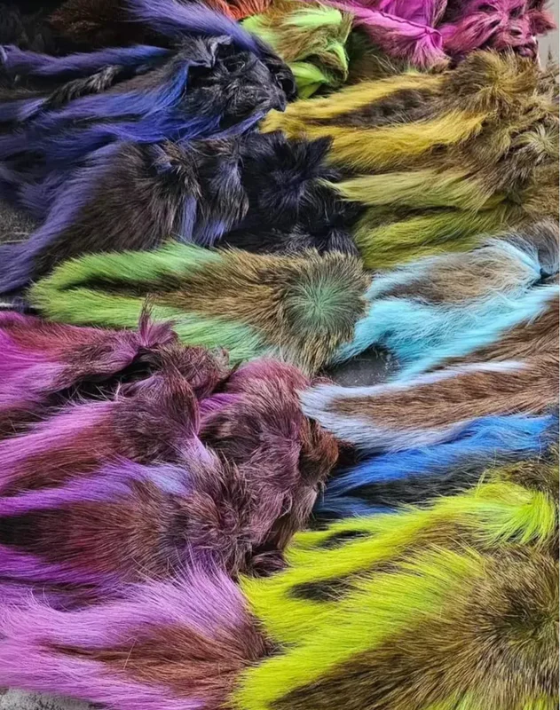 tailwatershop1156352