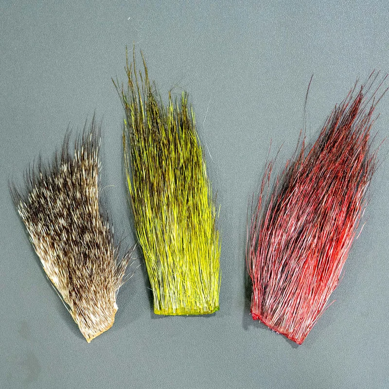 tailwatershop1156373
