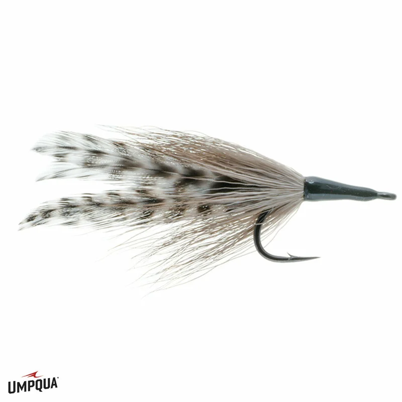 tailwatershop1156456