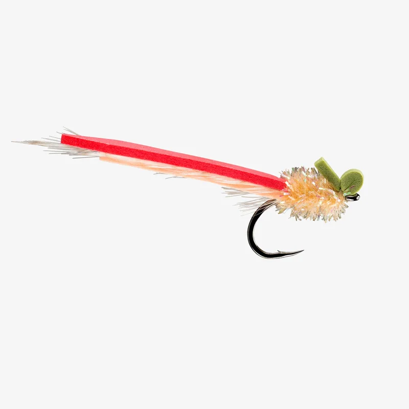 tailwatershop1156494