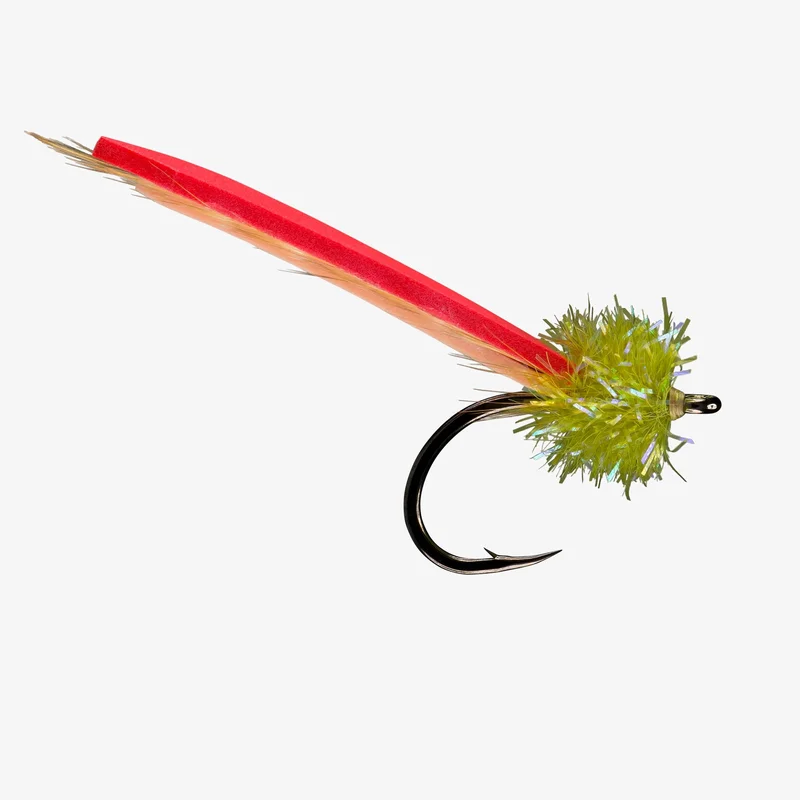 tailwatershop1156499
