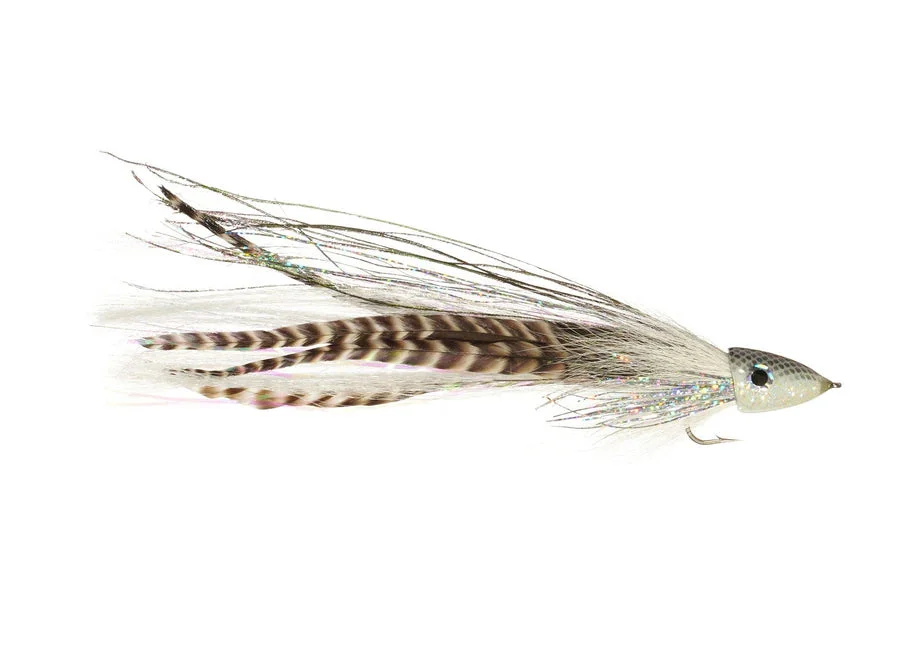 tailwatershop1158354