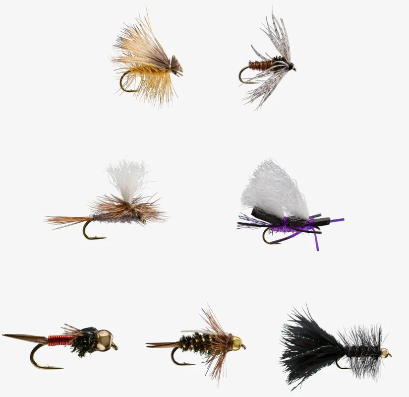 tailwatershop1158816