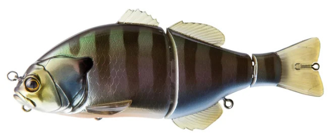 tailwatershop1159312