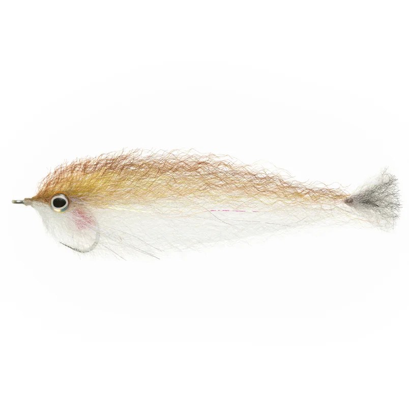 tailwatershop1160244