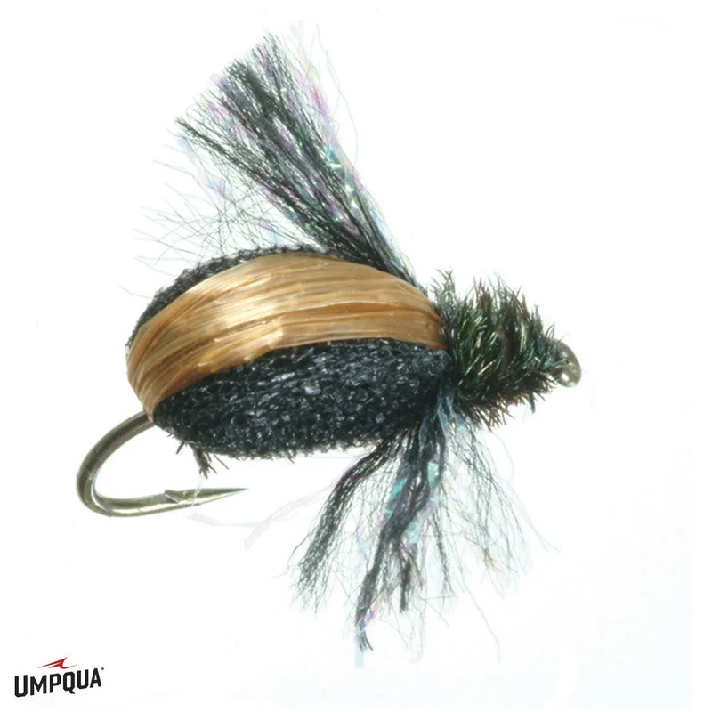 tailwatershop1161462