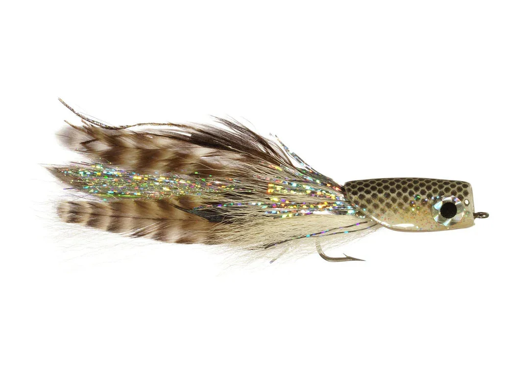 tailwatershop1161490