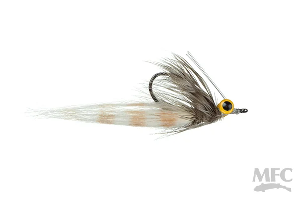 tailwatershop1162827
