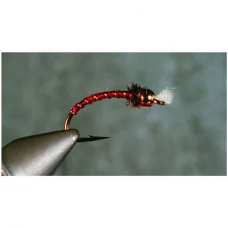 thefishinhole-1098167